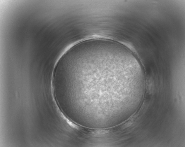 X0000065241294200602211202