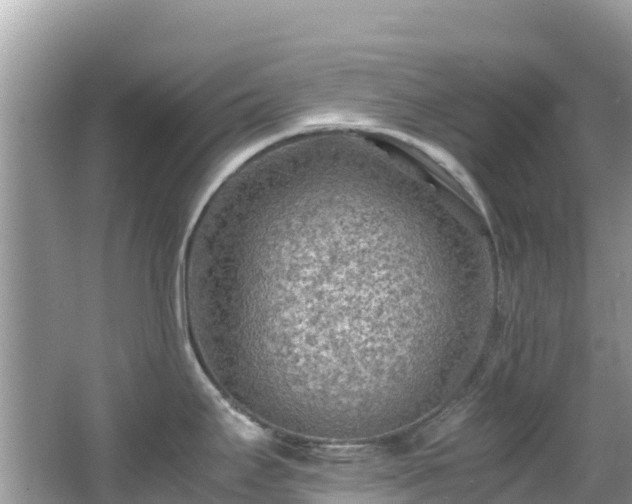 X0000065241295200602211202