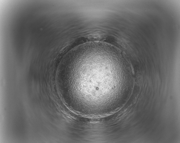 X0000065241297200602211201