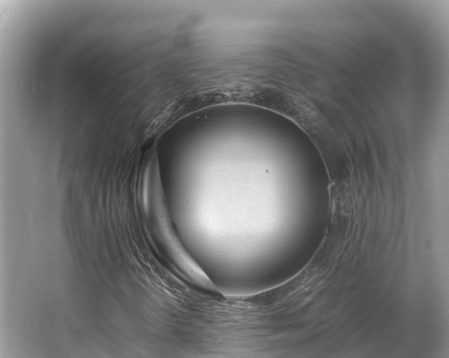 X0000065241298200602211201