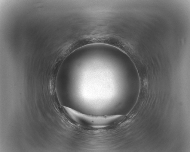 X0000065241300200602211201