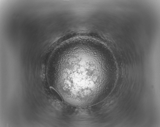 X0000065241301200602211201