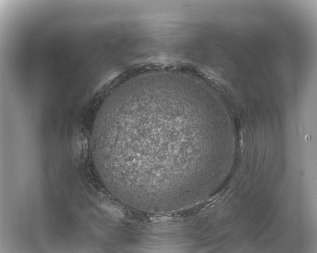 X0000065241302200602211201