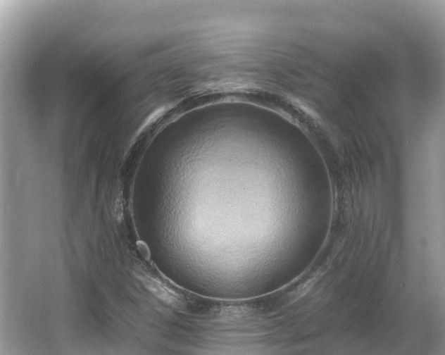 X0000065241306200602211201