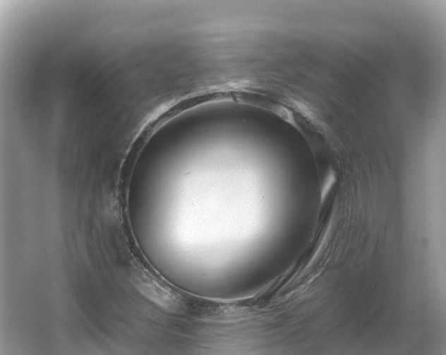 X0000065241308200602211201