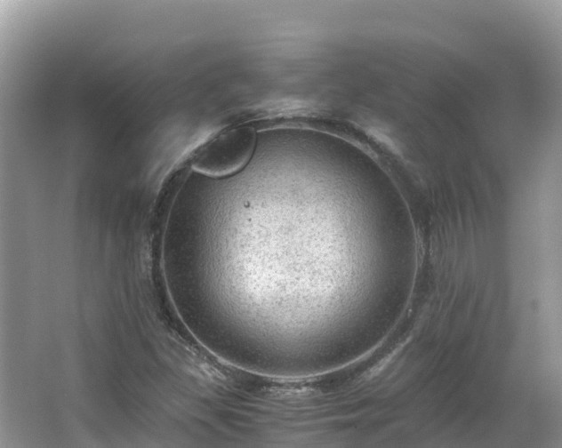 X0000065241309200602211201