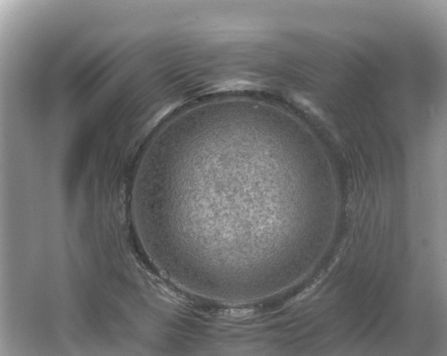 X0000065241313200602211202