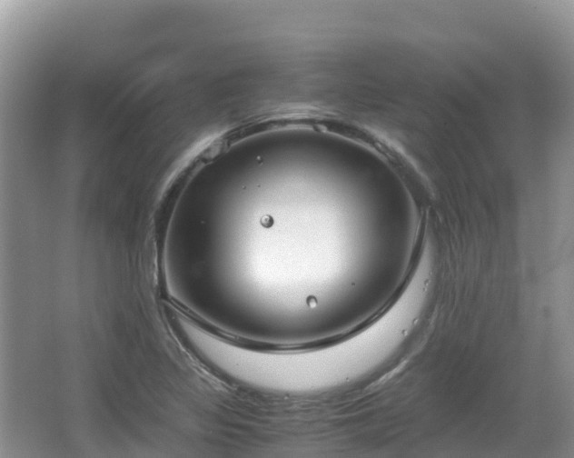 X0000065241317200602211202