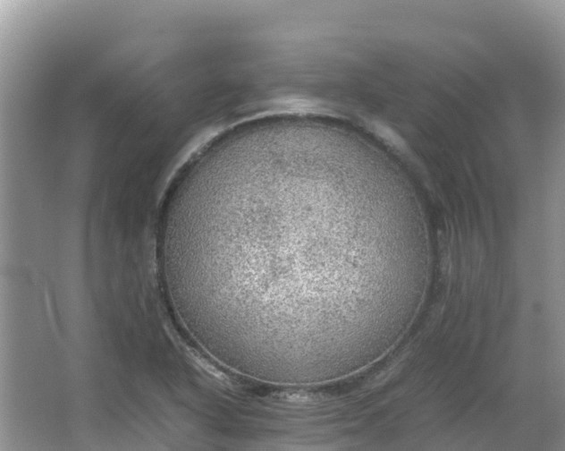 X0000065241318200602211202