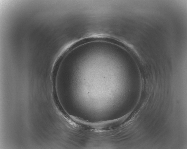 X0000065241319200602211202