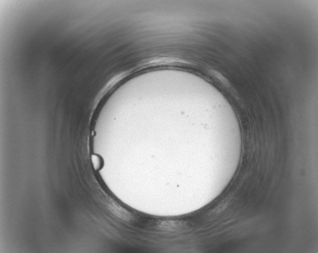 X0000065241322200602211202