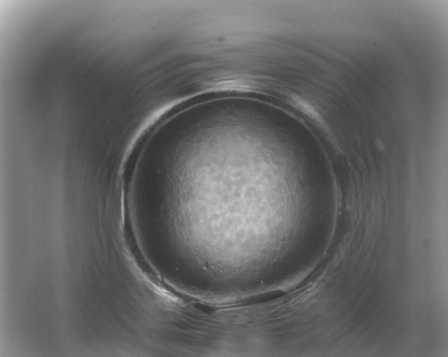 X0000065241323200602211202