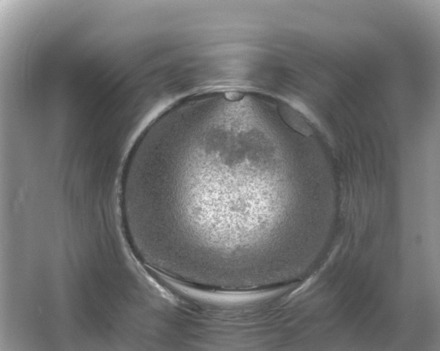 X0000065241325200602211202