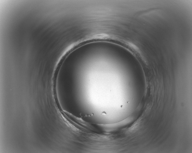 X0000065241326200602211202