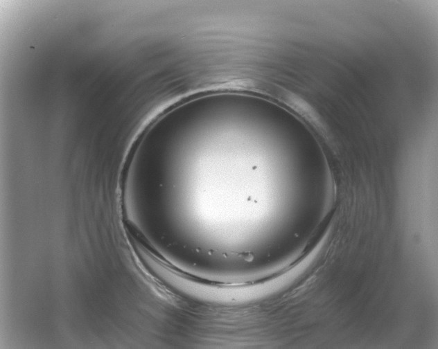 X0000065241332200602211202