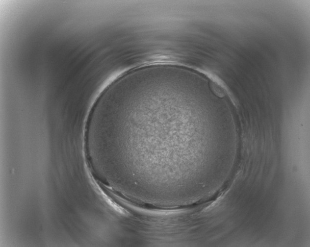 X0000065241333200602211202