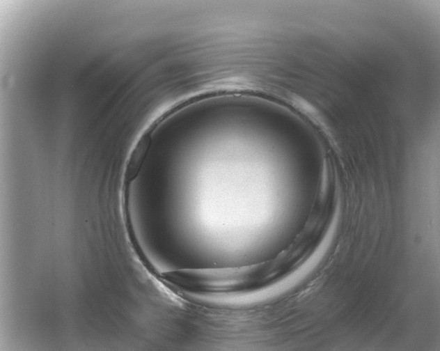 X0000065241334200602211202