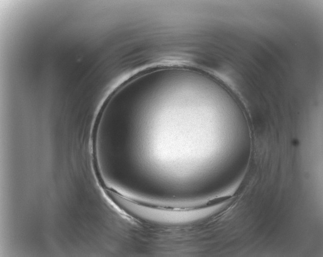 X0000065241335200602211202