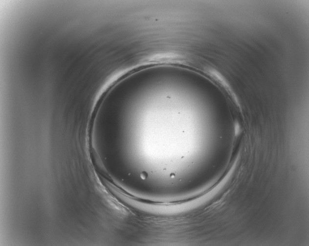 X0000065241336200602211202