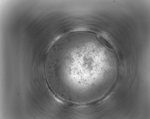 X0000065241337200602211202