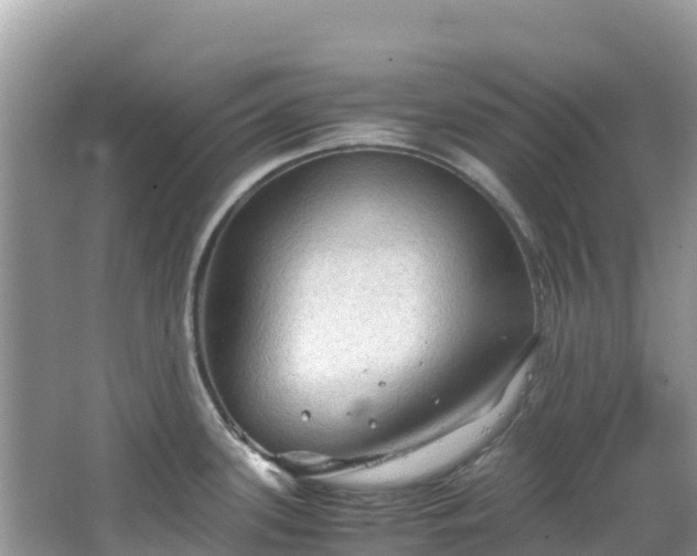 X0000065241339200602211202