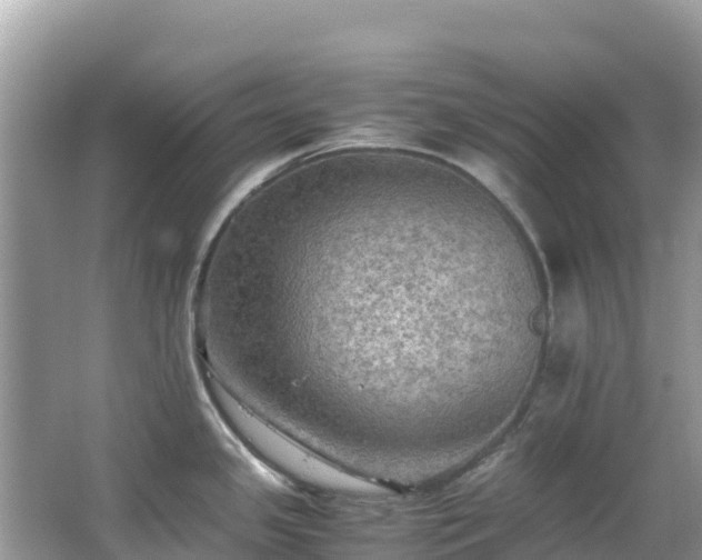 X0000065241341200602211202