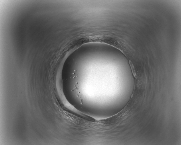 X0000065241345200602211201