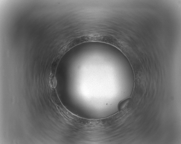 X0000065241346200602211201