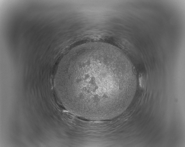 X0000065241347200602211201