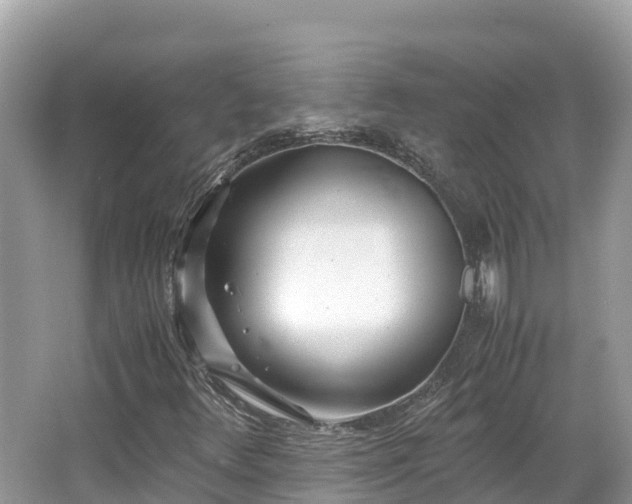 X0000065241348200602211201