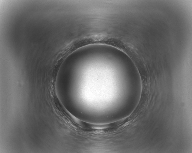 X0000065241349200602211201