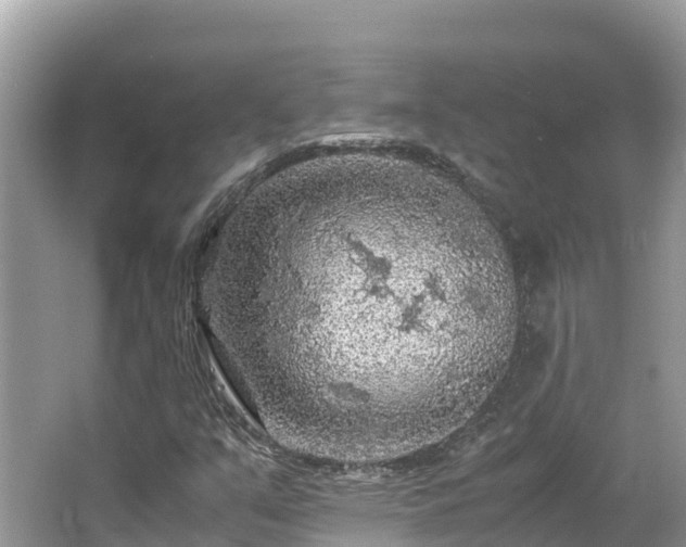 X0000065241351200602211201