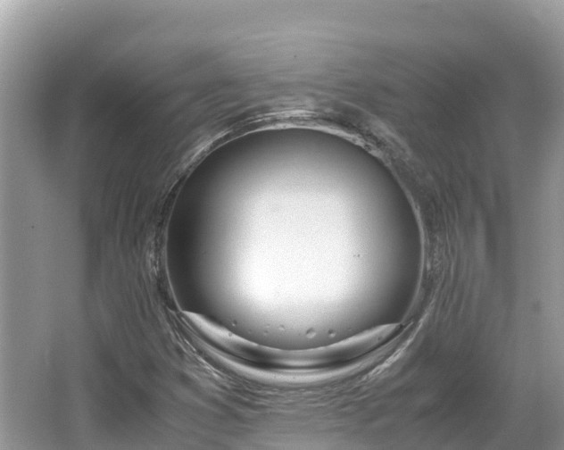 X0000065241353200602211201