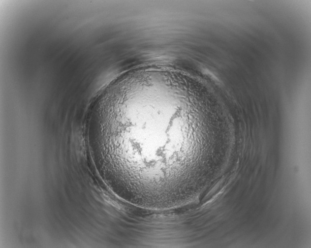 X0000065241354200602211201