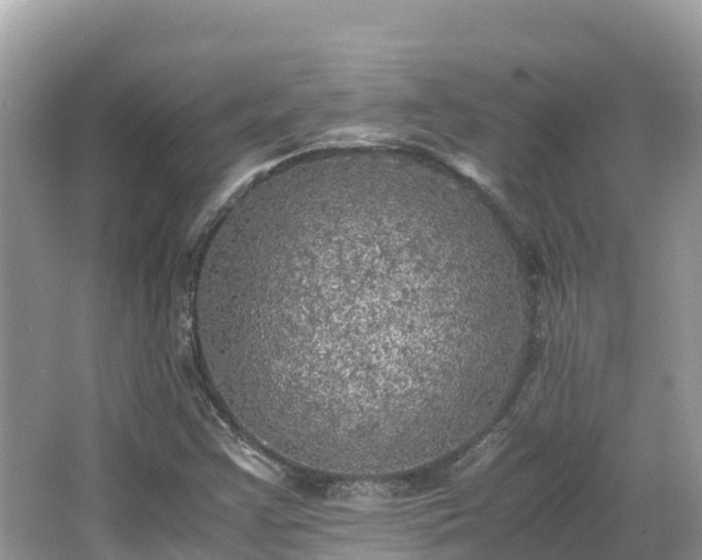 X0000065241355200602211201