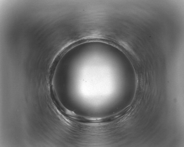 X0000065241356200602211201