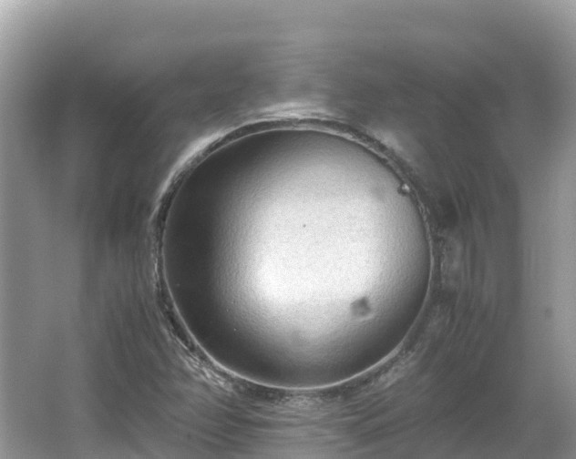 X0000065241358200602211201