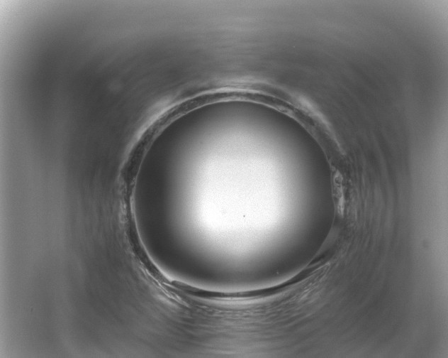 X0000065241360200602211201