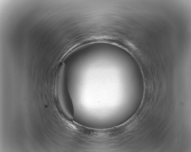 X0000065241361200602211201