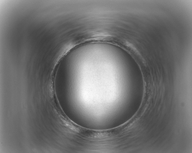 X0000065241362200602211201