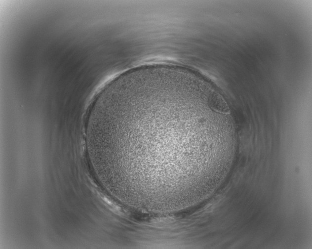 X0000065241363200602211201