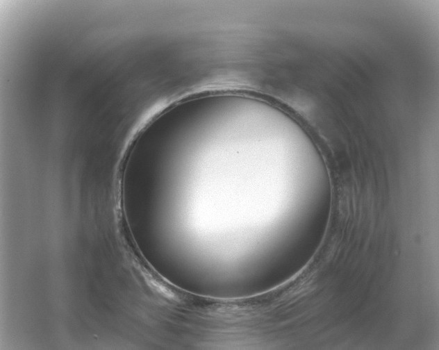 X0000065241366200602211201