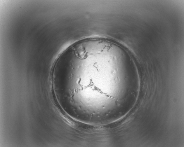 X0000065241367200602211201