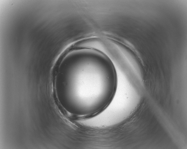 X0000065241368200602211201