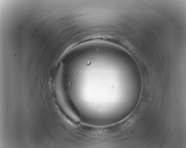 X0000065241369200602211201