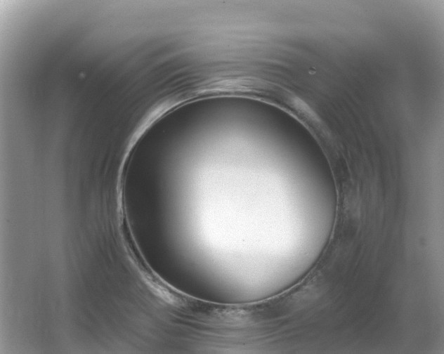 X0000065241370200602211201