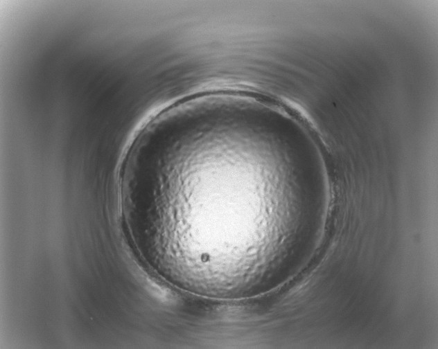 X0000065241371200602211201