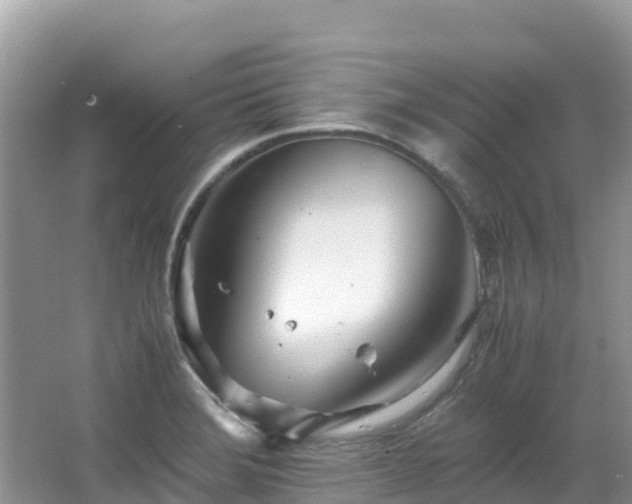 X0000065241372200602211201