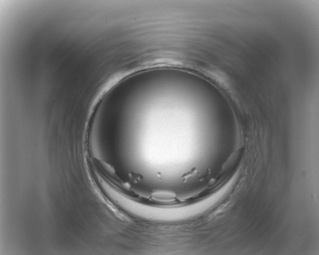 X0000065241373200602211201