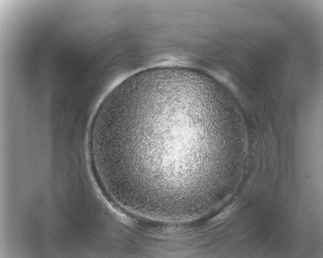 X0000065241375200602211201